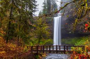 Silver Falls-1678.jpg Silver Falls-1678.jpg